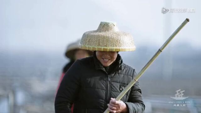 花式工作吗?原来海盐是这样做出来的