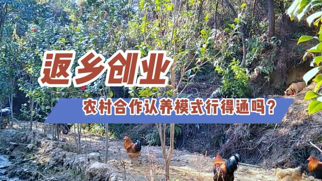 农村合作认养模式,2023年深哥从零开始,无资金强行重启项目