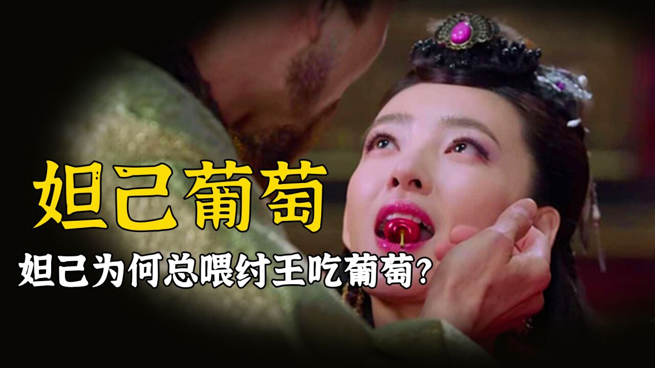 妲己为何总喂纣王吃葡萄,而不是其他水果?原来葡萄暗藏妲己命运_高清1080P在线观看平台_腾讯视频
