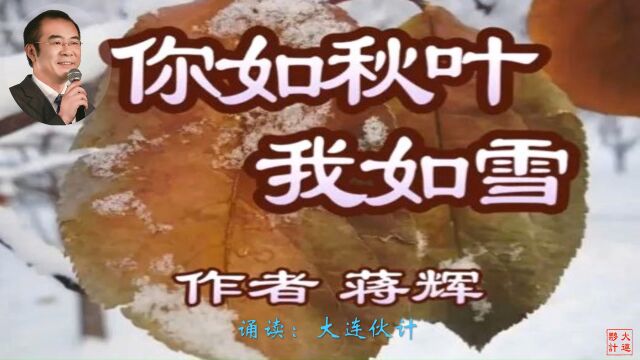 《你如秋叶 我如雪》作者:蒋辉 诵读:大连伙计