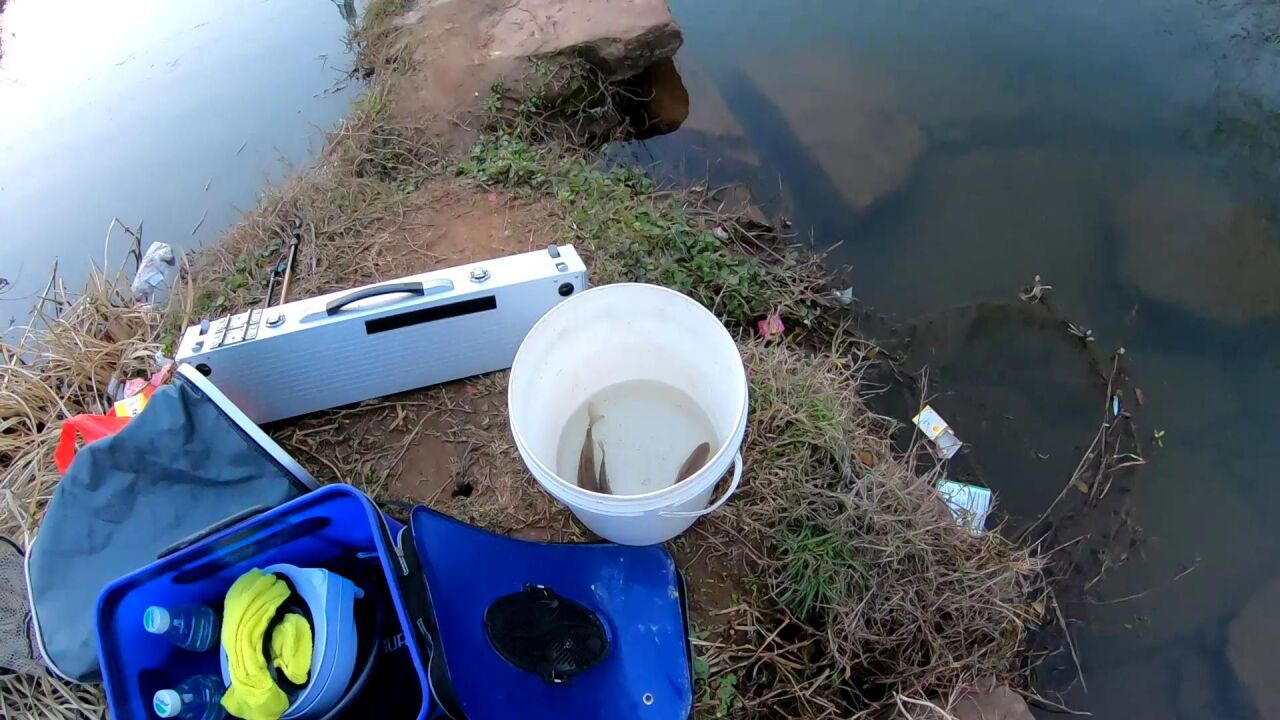 溪流拦水坝下野钓，天气这么冷，想不到2小时也能钓到鱼