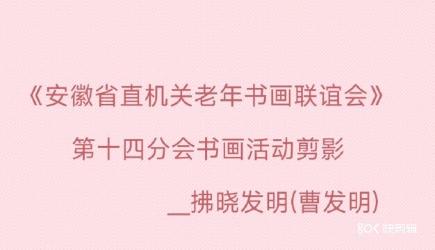 《省直机关老年书画联谊会》分会书画活动剪影/拂晓发明