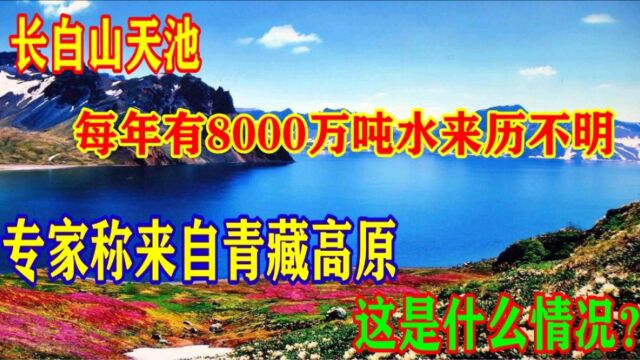 长白山天池每年8000万吨水来源不明,专家称来自青藏高原,啥情况