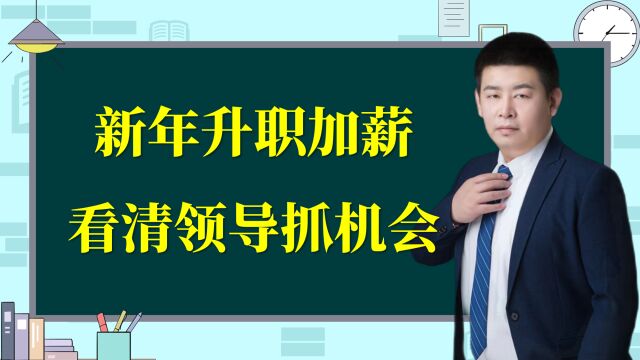 新的一年想升职加薪怎么办?看清领导抓住机会才重要!