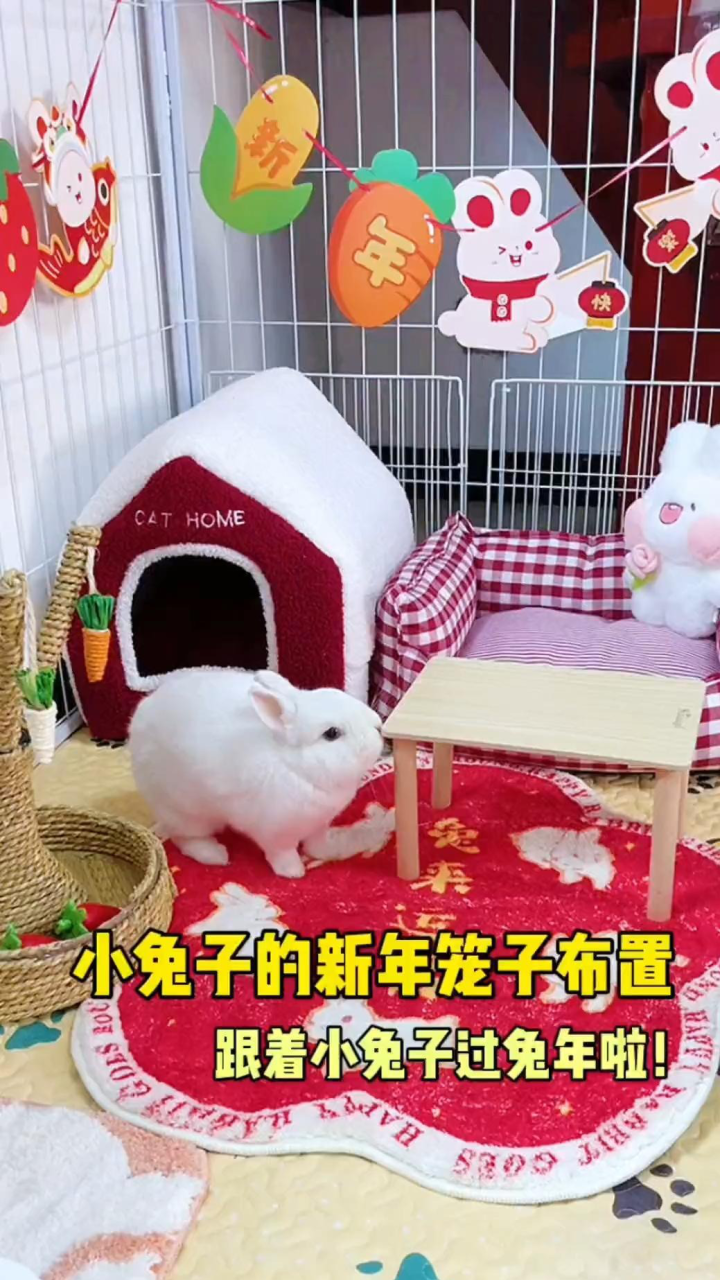 小兔子的兔年装备!给兔兔布置新年小窝~_腾讯视频