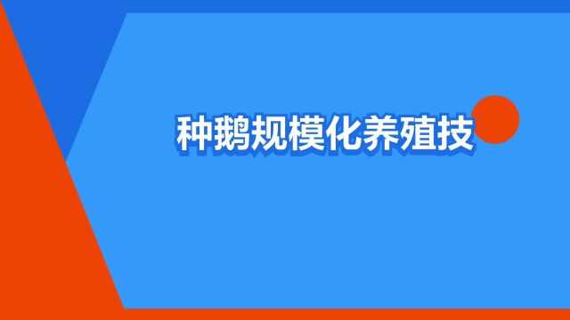 “种鹅规模化养殖技术”是什么意思?