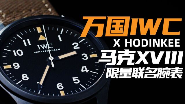 2023.01.17 这表值么 IWCx Hodinkee 联名腕表 0203