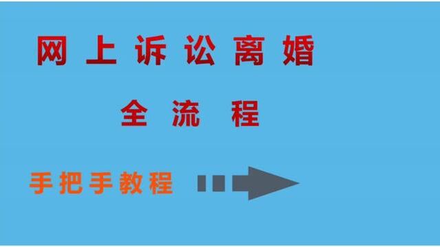 诉讼离婚全流程#网上立案 #代写起诉状 #济南济南 #离婚开庭 #婚姻