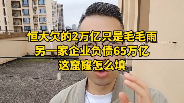 恒大欠的2万亿只是毛毛雨,另一家企业负债65万亿,这窟窿怎么填