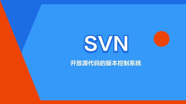 “SVN”是什么意思?