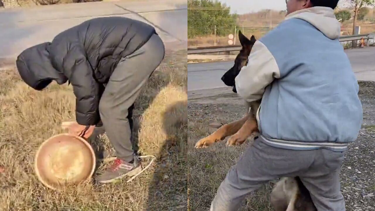 用鞭炮炸狗图片