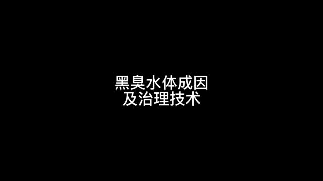 黑臭水体成因及治理技术2