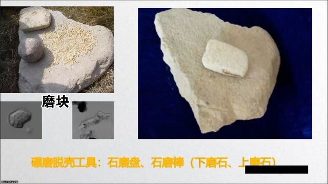 视频|蒋乐平:太阳纹彩陶是上山稻作农业的证据吗?