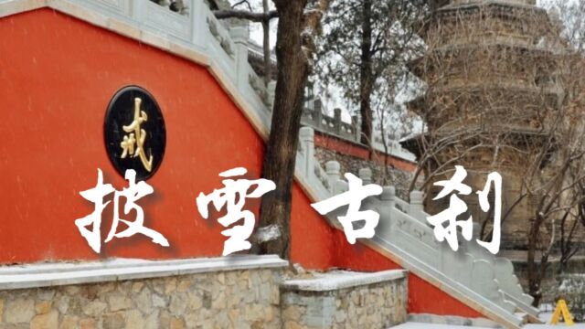 北京古刹戒台寺,今日披上白雪,更显静谧禅意#旅行推荐官 #当古建筑与雪花同框 #北京必去的景点 #千年古刹 #古建筑之美