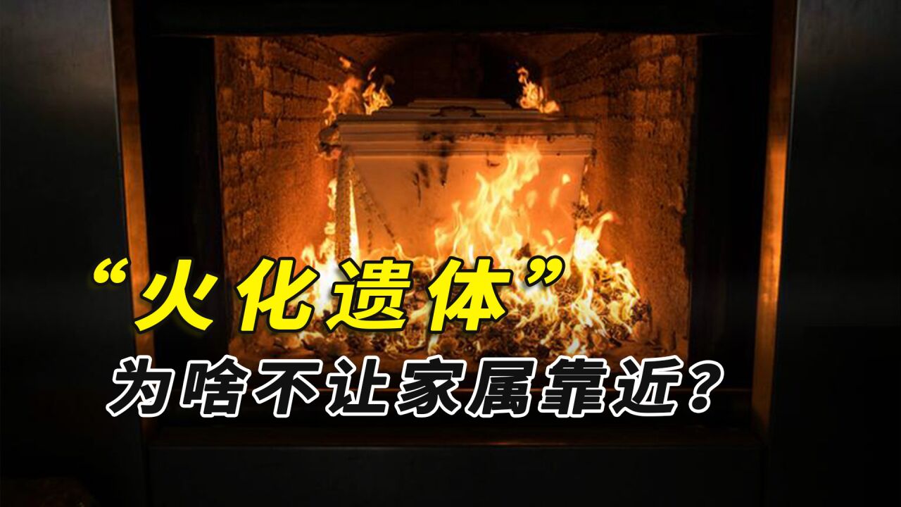 火葬场火化遗体时,为啥不让家属靠近?背后到底有啥猫腻?_高清1080P在线观看平台_腾讯视频