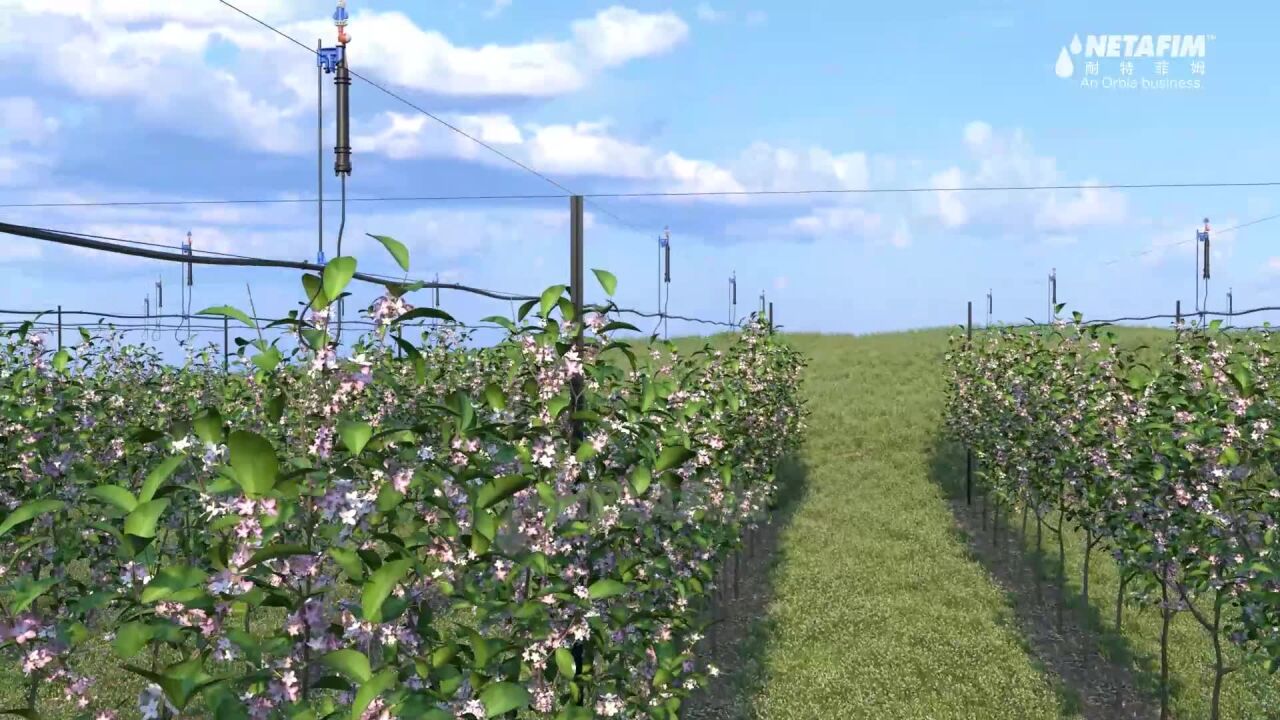 耐特菲姆独创的密植作物防霜冻与高温系统,保护您的作物免受极端气候侵袭_高清1080P在线观看平台_腾讯视频