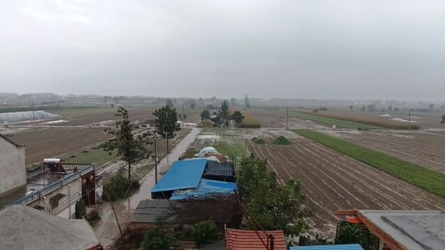 下雨天看村里村外