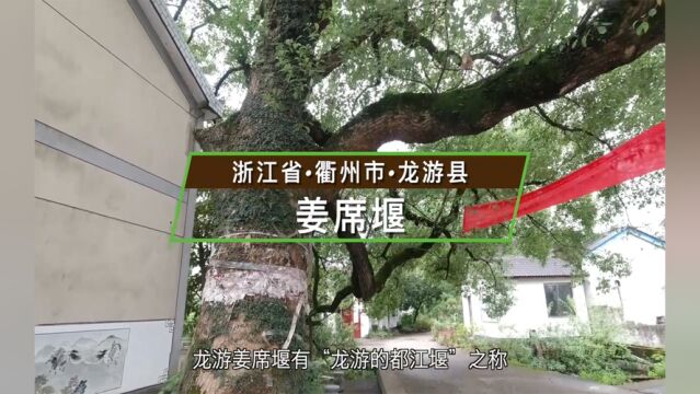 浙江省衢州市龙游县姜席堰