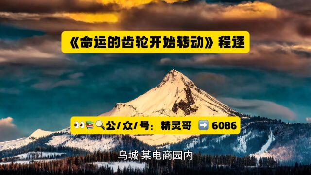 高分男频《命运的齿轮开始转动》程逐小说全文在线阅读◇