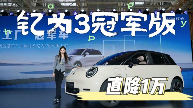 钇为3冠军版来了,超500km续航直降1万,和海豚打起来啦!