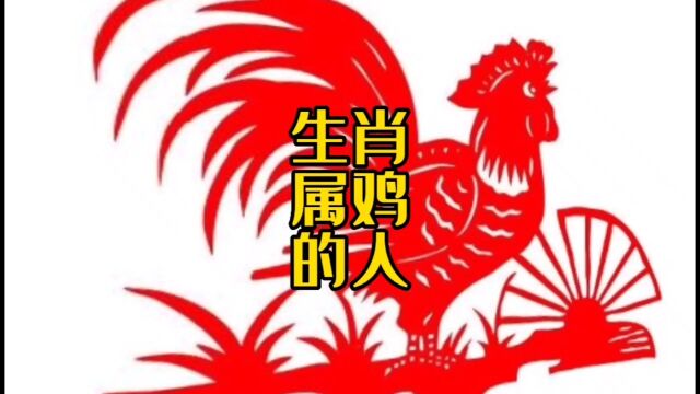 属鸡的人性格特征以及命运轨迹