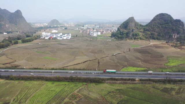 【乡村振兴】钟山:春耕香芋种植忙 产业发展促振兴