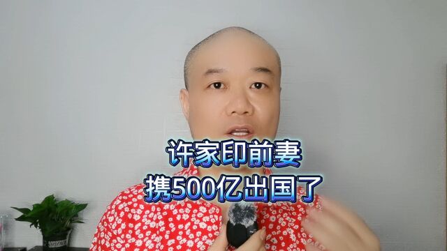 许家印的前妻:携500亿出国了!