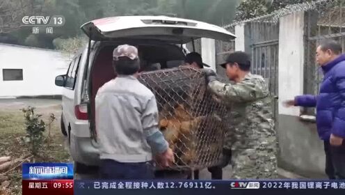 警方斩断一条野生动物交易链