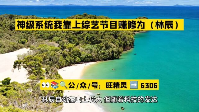 神级系统我靠上综艺节目赚修为(林辰)小说全文阅读○完整版