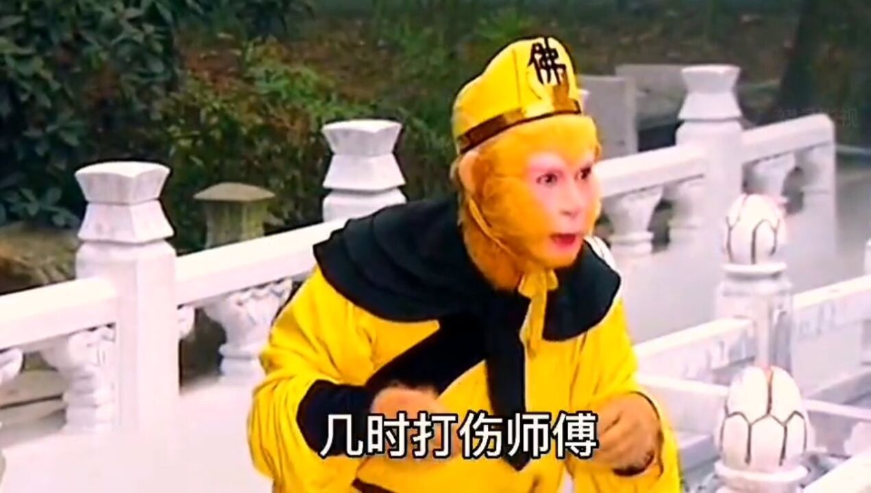 真假美猴王，孙悟空找观世音菩萨诉苦_高清1080P在线观看平台_腾讯视频