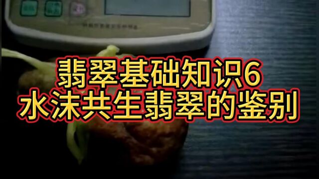 翡翠基础知识6:如何鉴别翡翠原石的水沫共生