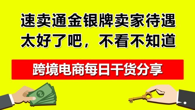 1.速卖通金银牌卖家待遇太好了吧,不看不知道