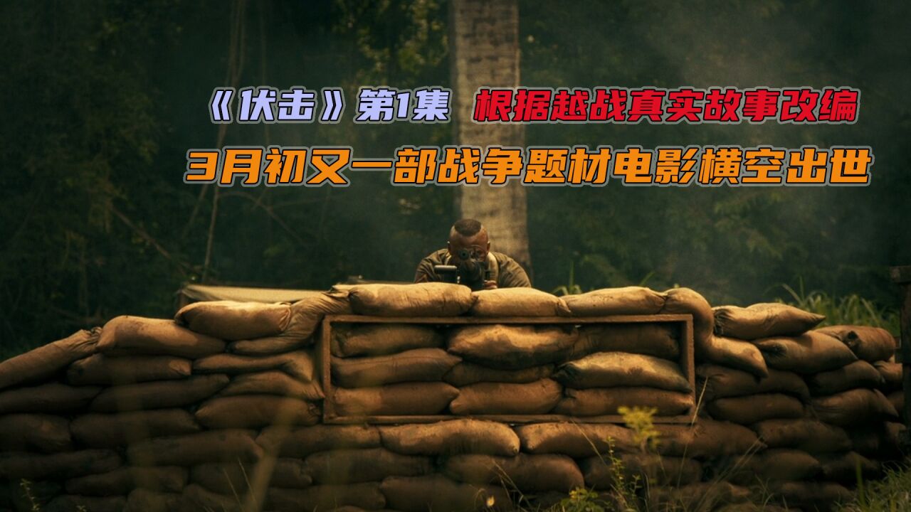 越战真实故事改编的电影《伏击》震撼来袭_高清1080P在线观看平台_腾讯视频