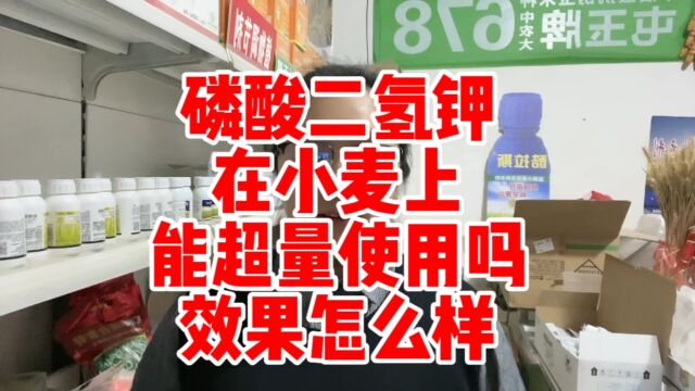 磷酸二氢钾 在小麦上 能超量使用吗 效果怎么样