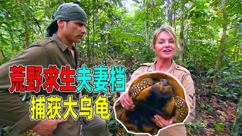荒野求生夫妻档，意外捕获大乌龟，一顿炭烤蛇肉吃到撑！