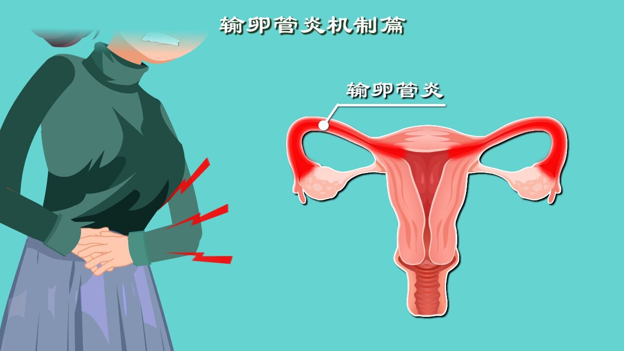 下腹疼痛?还会导致宫外孕?输卵管炎危害有多大?硬核科普