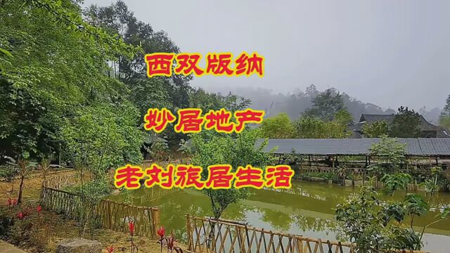 《西双版纳妙居地产》禅悦旅居生活 民宿客栈篇 #最美民宿