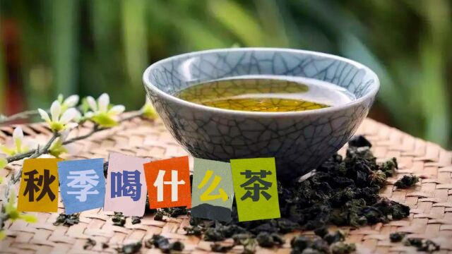 【中国茶文化】喝茶要喝对!这种茶和秋天更配哦!