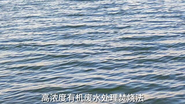 高浓度有机废水处理焚烧法