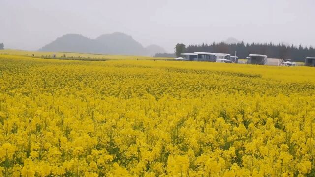 罗平不止有百万亩油菜花田,来罗平这些地方一定不能错过! #微拍中国罗平站