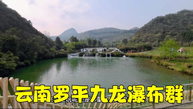 带粉丝旅行,自驾游罗平九龙瀑布群,门票65,青山绿水太美了