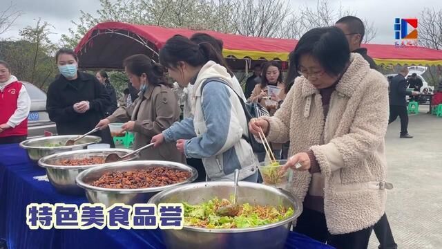 团泽镇春季赏花游文旅活动特色美食品鉴,花漾中国,遵义汇川