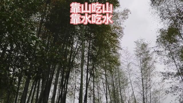 靠山吃山靠水吃水.mp4