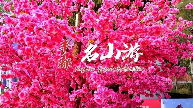 游丰都名山 #景区美景 #景区打卡 #祈福 #景点打卡 #佛教圣地