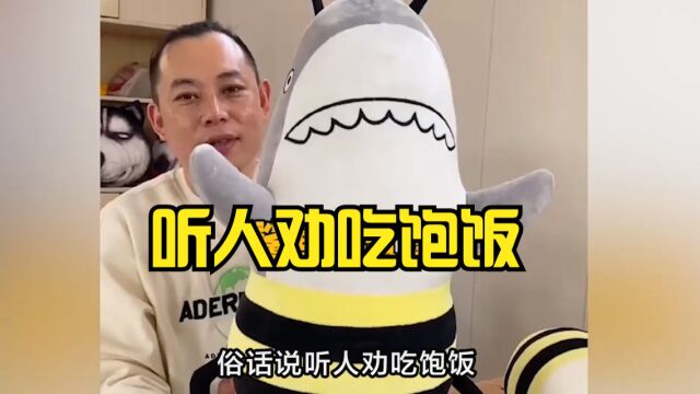 听人劝吃饱饭,从油腻大叔到帅气小哥,老板卖谐音抱枕走红网络