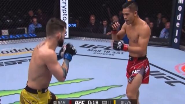 ufc格斗之夜第201期泰森—纳姆对决布鲁诺—席尔瓦的精彩比赛感谢收看