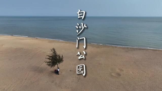 海南岛最北面的公园,白沙门公园里有一棵最孤独的其他.#海南 #旅行大玩家 #白沙门公园 #海南旅游攻略