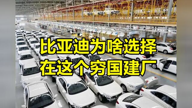 比亚迪为啥选择在这个穷国建厂?地图公布后愣住了,这才叫格局