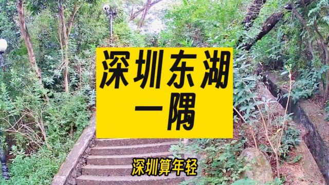 深圳东湖的小山上有一个惬意角落,你曾经来过这里坐过吗?随拍 闲聊 旅行