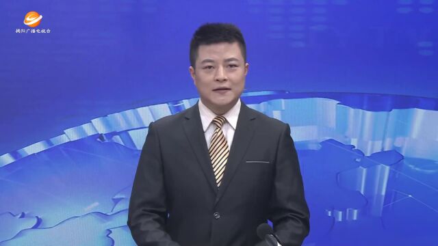 深圳潮人海外经济促进会访问团到我市访问